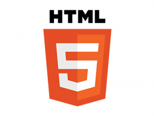 Teodor Iancu HTML5 Programmierer Wien
